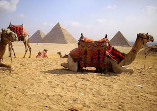  Egypt Excursions 