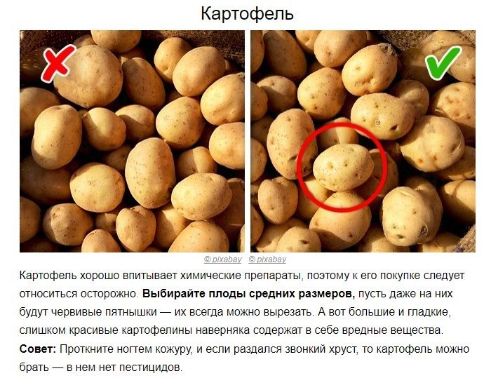 Какой химический картофеля. Как выбрать картофель. Как выбрать хороший картофель. Как выбирать картошку. Как выбрать хорошую картошку.