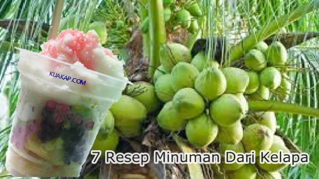 7 Resep Minuman Dari Kelapa Cocok Untuk Buka Puasa 7 Resep Minuman Dari Kelapa Cocok Untuk Buka Puasa