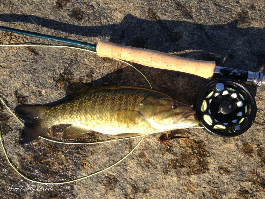 Ward Fly Rods Pony Pasture Fly Fishing in Richmond VA