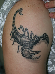 scorpion tattoo tattoos scorpio designs 3d shoulder hand tatto grey right phoenix ink death tatoos nice cool star boys different