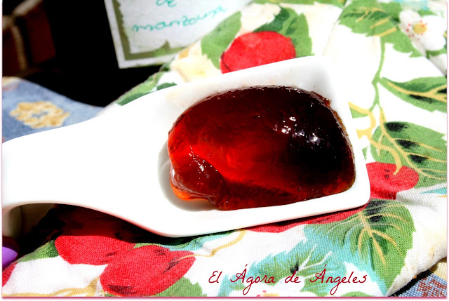  GELATINA DE MANZANA 