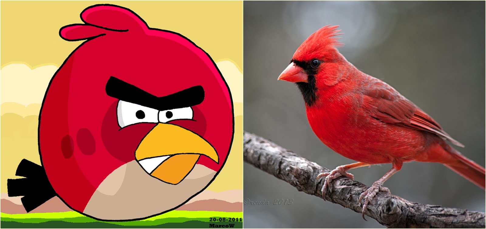 Aneh Tapi Nyata Tokoh Kartun Ini Ternyata Ada Di Dunia Nyata