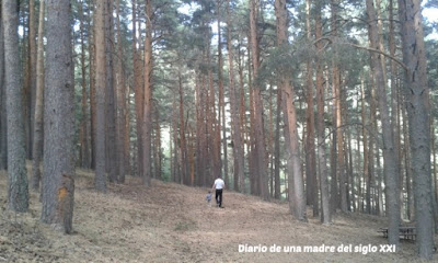 Miércoles Mudo: Paseo por la Sierra de Guadarrama