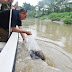 Taburkan 3.000 Benih Ikan ke Sungai Deli,  Gubernur : Sumut Bermartabat Untuk Semua Mahluk Tuhan 