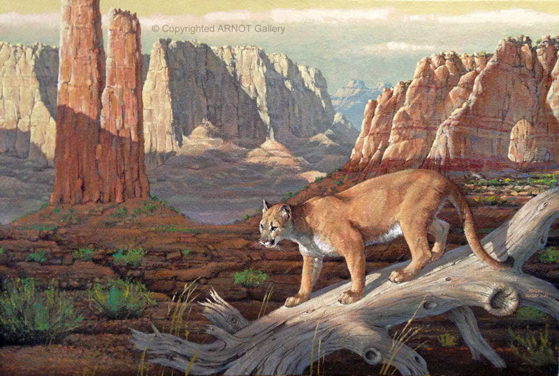 Horizontes de grandeza. La fauna de la Oeste (y IV): pumas y coyotes