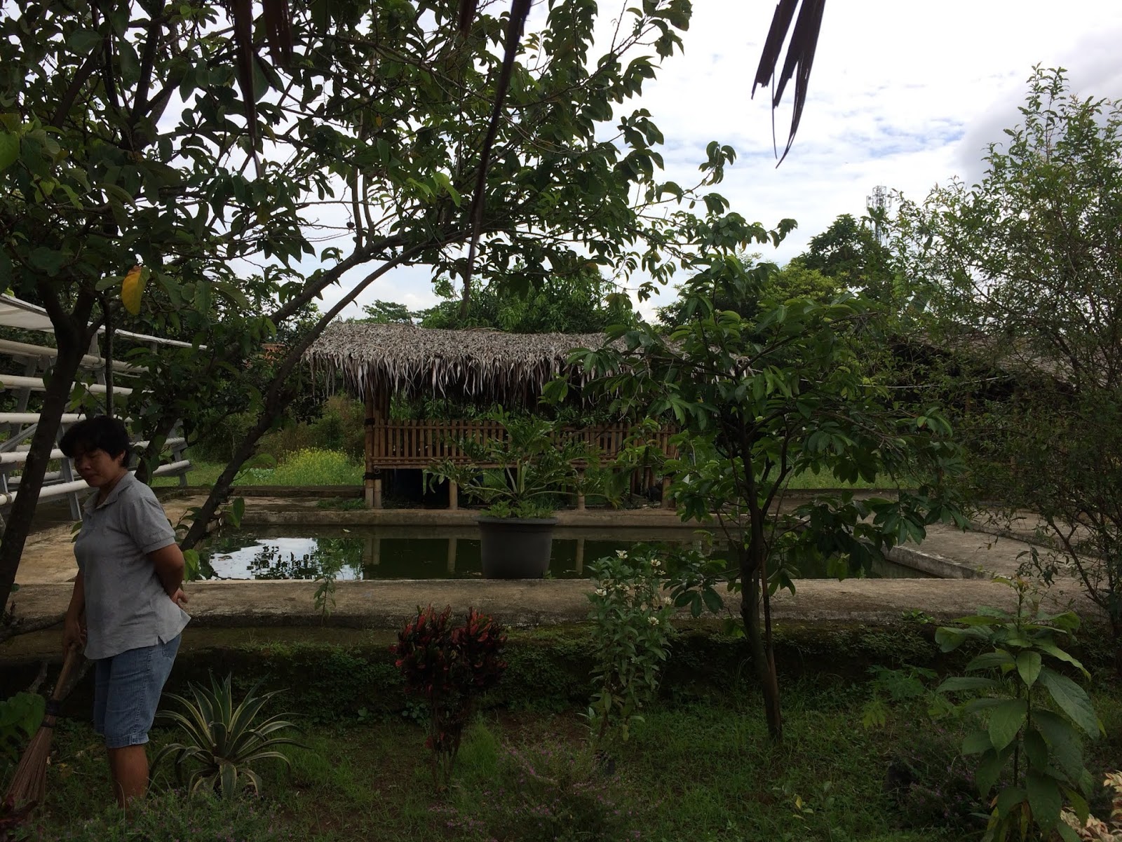 Bothanmada 4 Yathyndaki Cocudun Psikolojisi