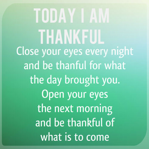 Love Your Life: Today I am thankful