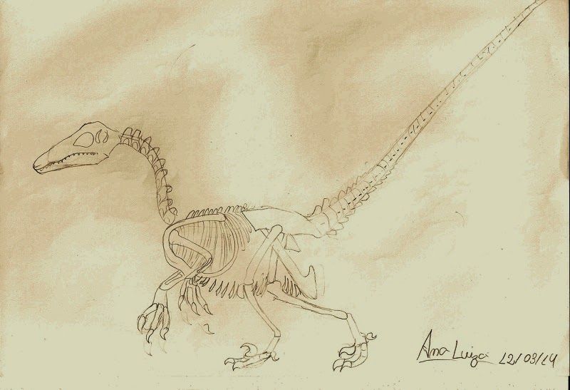 Aqui tem o desenho de um fóssil feito pela Ana Luiza