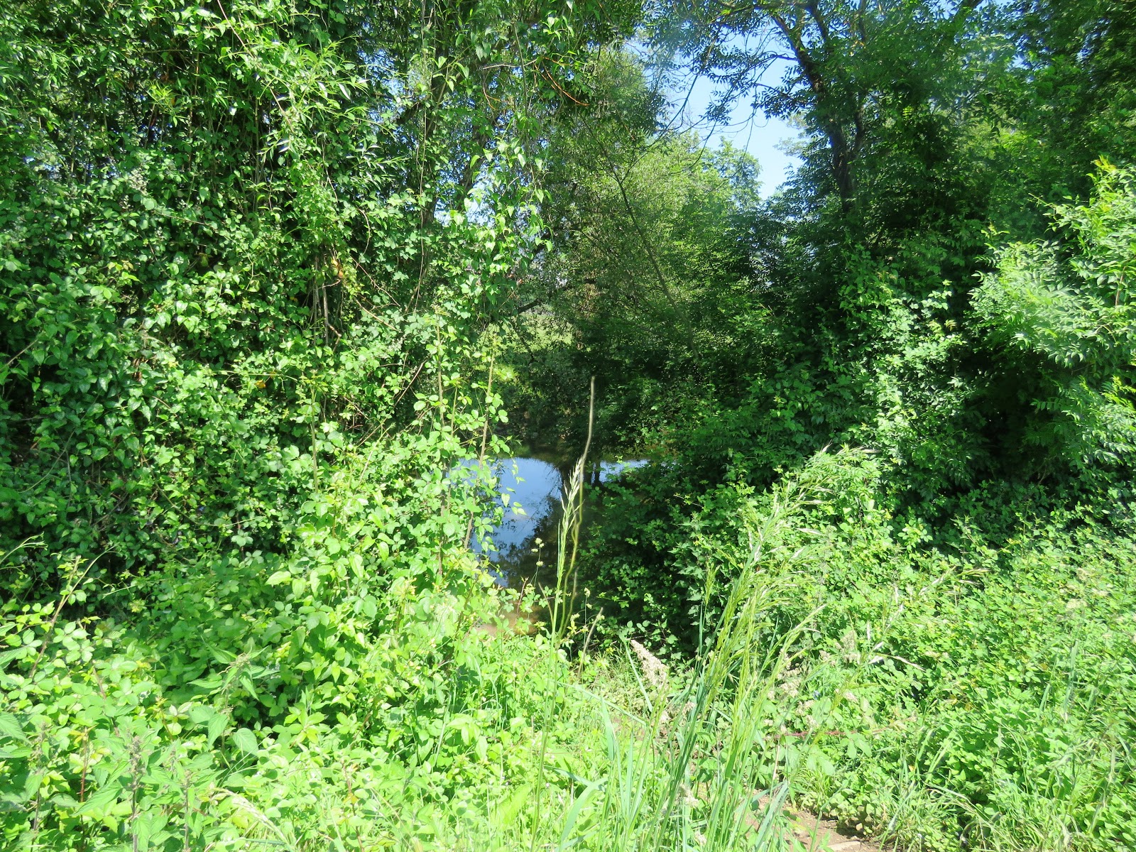 Senda por el río Cubia (Grado)