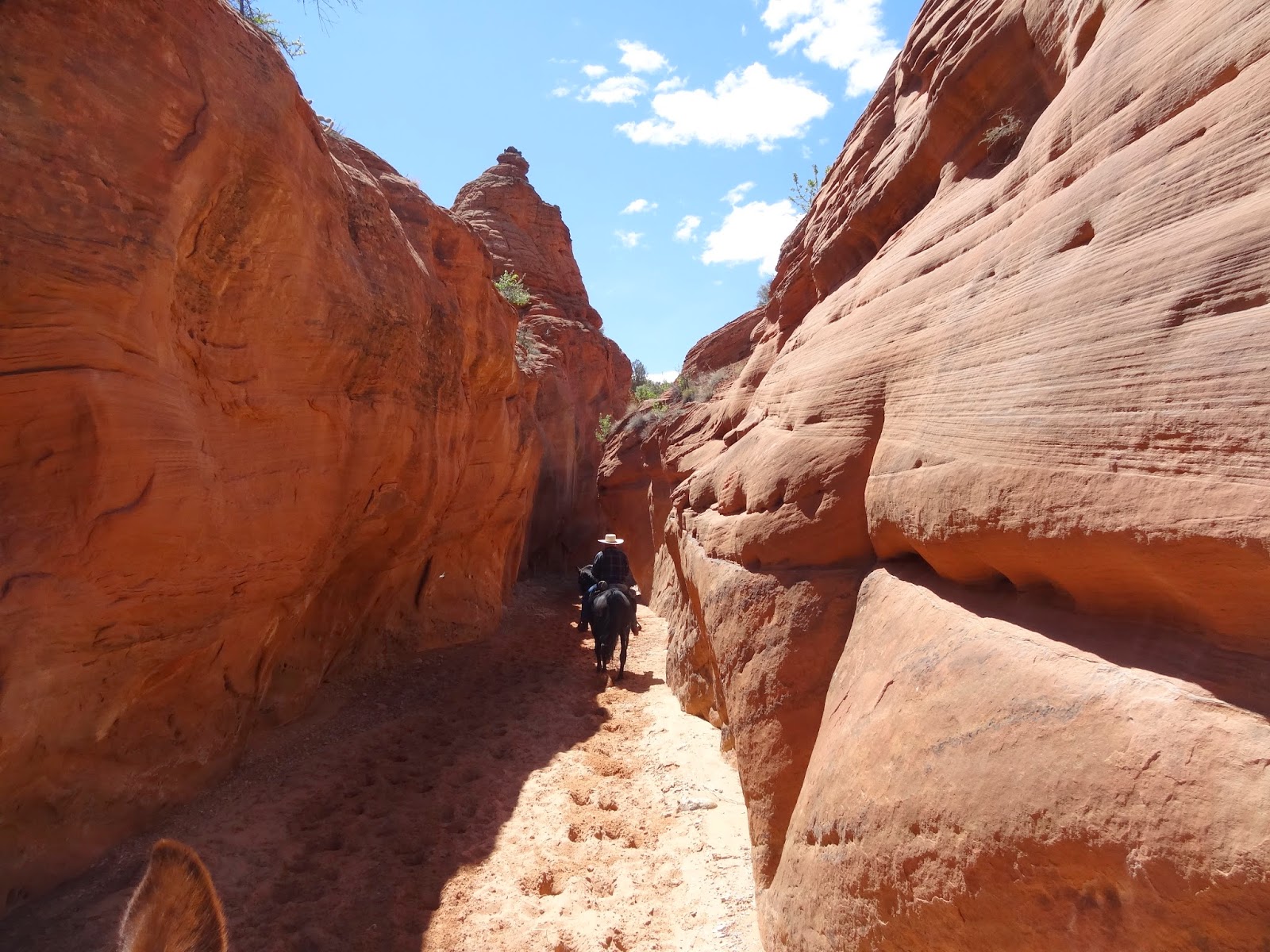 Dream Packer Trail Adventures Buckskin Gulch, Utah
