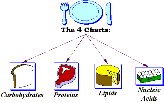September 18th Carbohydrates, Lipids, and Proteins.