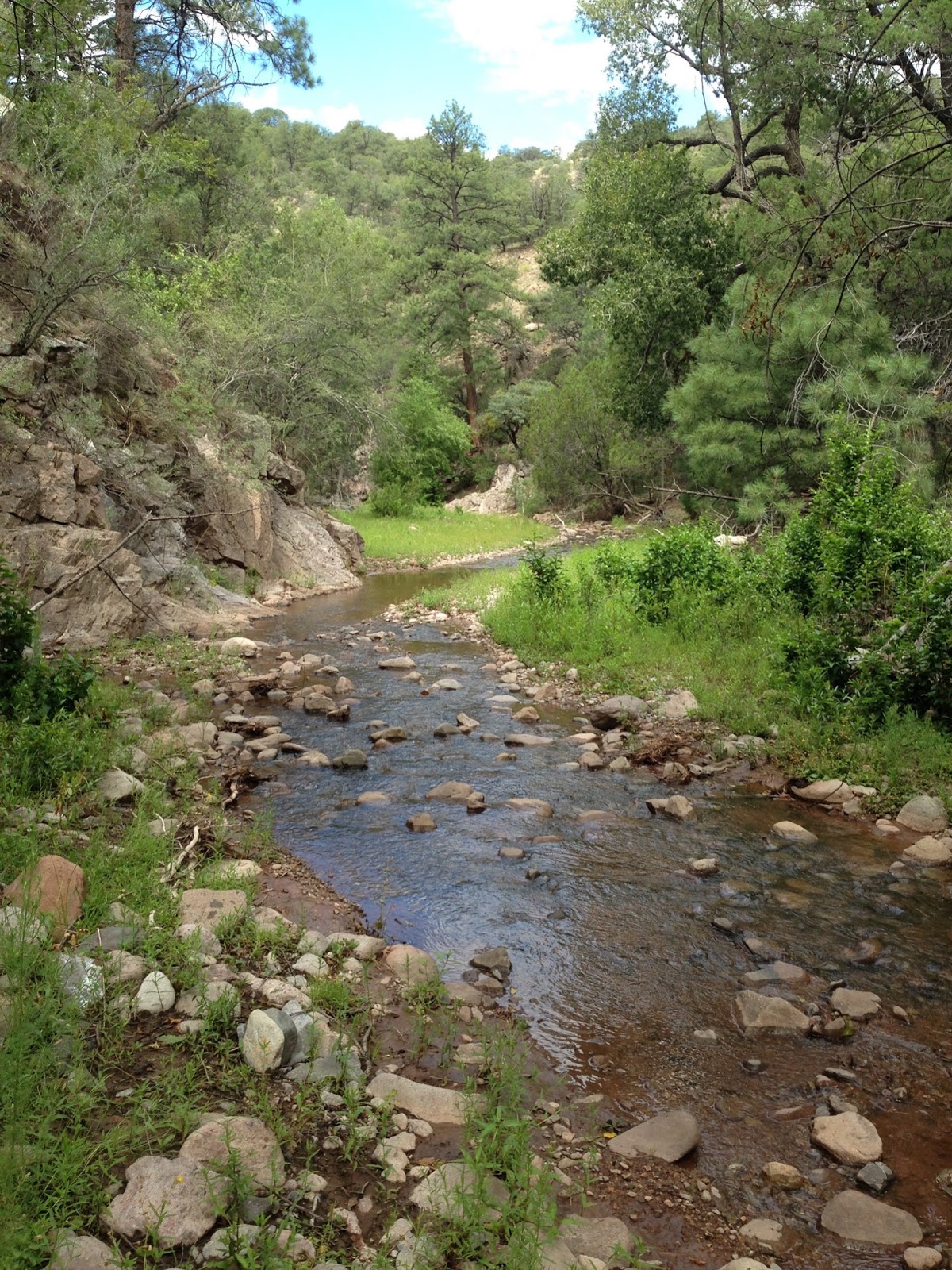 Southern New Mexico Explorer Gallinas Creek Gila National Forest