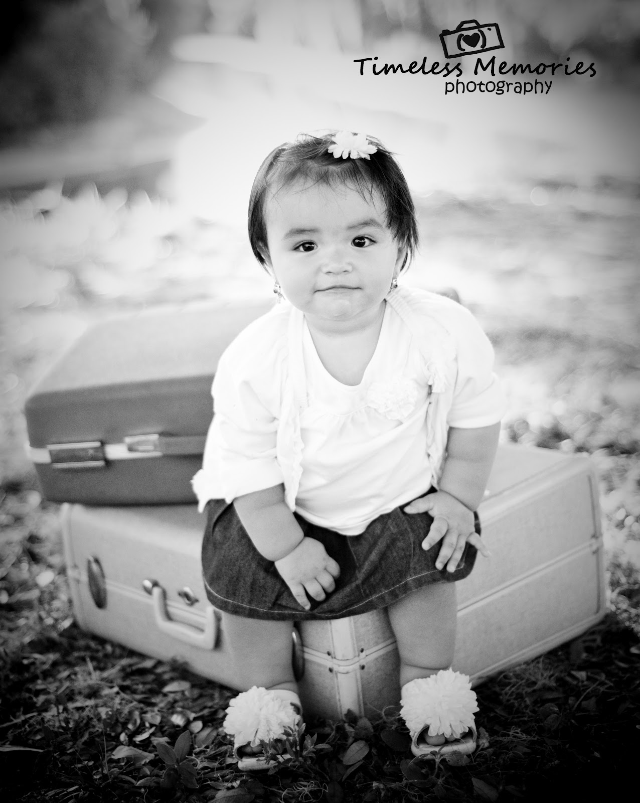 Timeless Memories Photography by Dan & Tanya Downs 