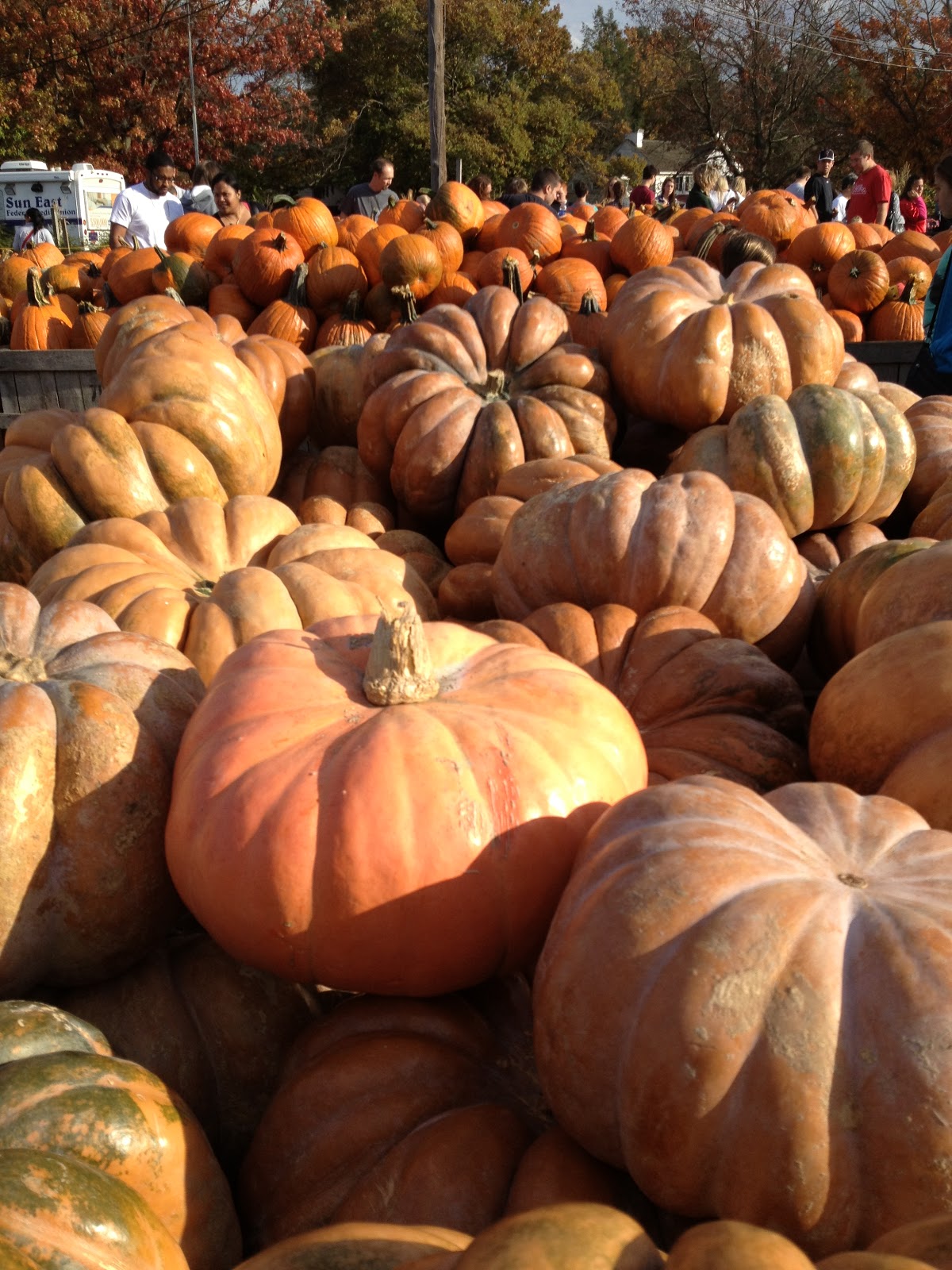 SHHHHH... Fall Visit to Linvilla Orchards