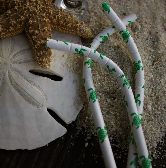 This World of Water Ideas That Suck The Straw, and How to Degrade It