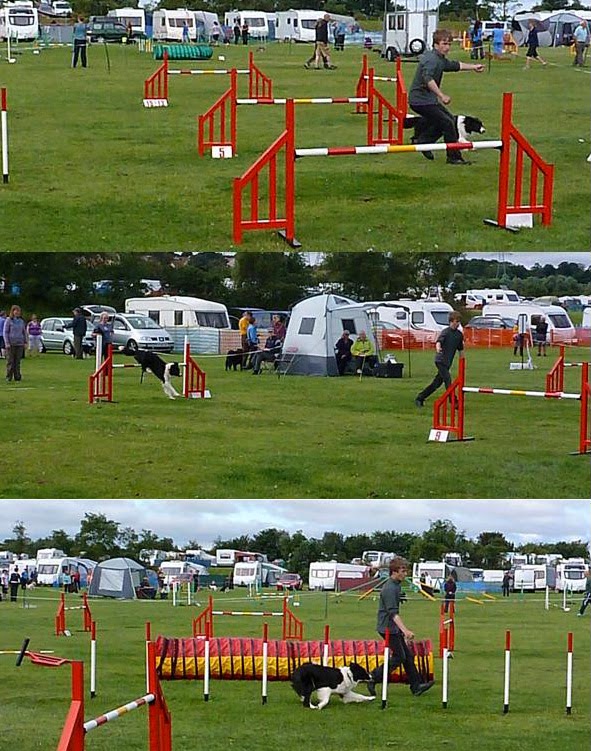 Julia Garner East Lothian Dog agility and Port Seton
