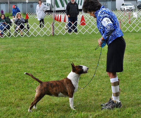 DOG SHOW POOP WILMINGTON KENNEL CLUB