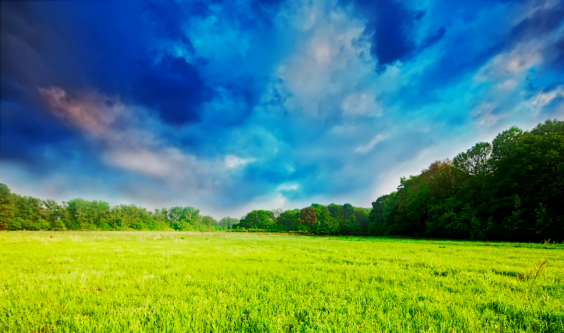 Ilmu Alam Dan Teknologi Padang Rumput Dan Potensi Di Lingkungan Masyarakat