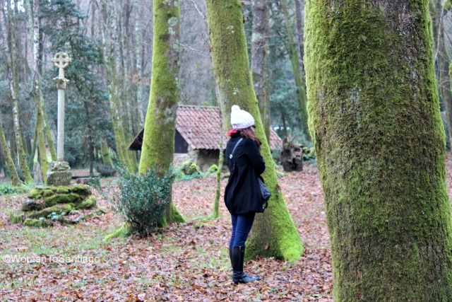 foto de womantosantiago