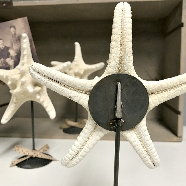 starfish photo display with a stand and clip