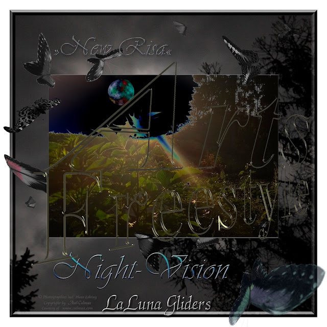 Night-Vision LaLuna gliders of New Risa ArtsFreestyle