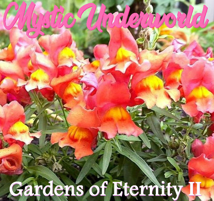 Gardens of Eternity Part II Front Cover