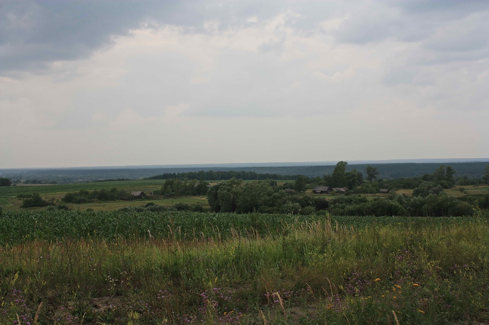 район. мордово саратовская область красноармейский район. поселок леплей мордовия. поселок явас зубово-полянский район мордовия. село петровка мордовия.