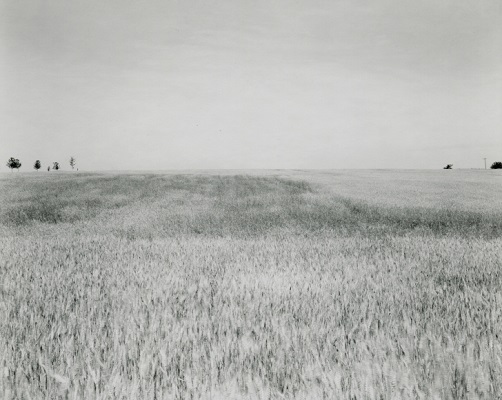 from "Illinois landscapes" - 1980 - photo by Rhondal Mckinney | black and white photography inspiration | landscapes | artSelecta from "Illinois landscapes" - 1980 - photo by Rhondal Mckinney | sad black and white photos | imagenes bellas de soledad y tristeza, fotos en blanco y negro bonitas
