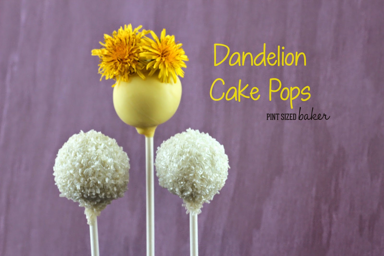 Dandelion Cake Pops 1 1+ps+Dandelion+Cake+Pops+(54)