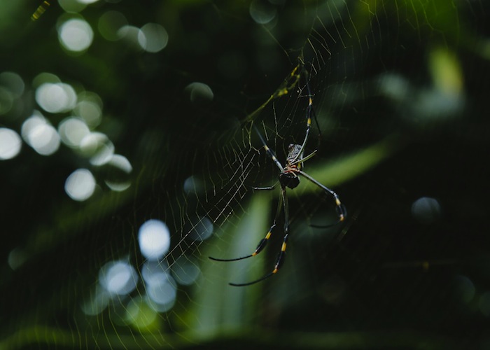 Ritebook El Avion Restaurant In Manuel Antonio Plane Became A