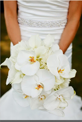 amaryllis wedding flowers