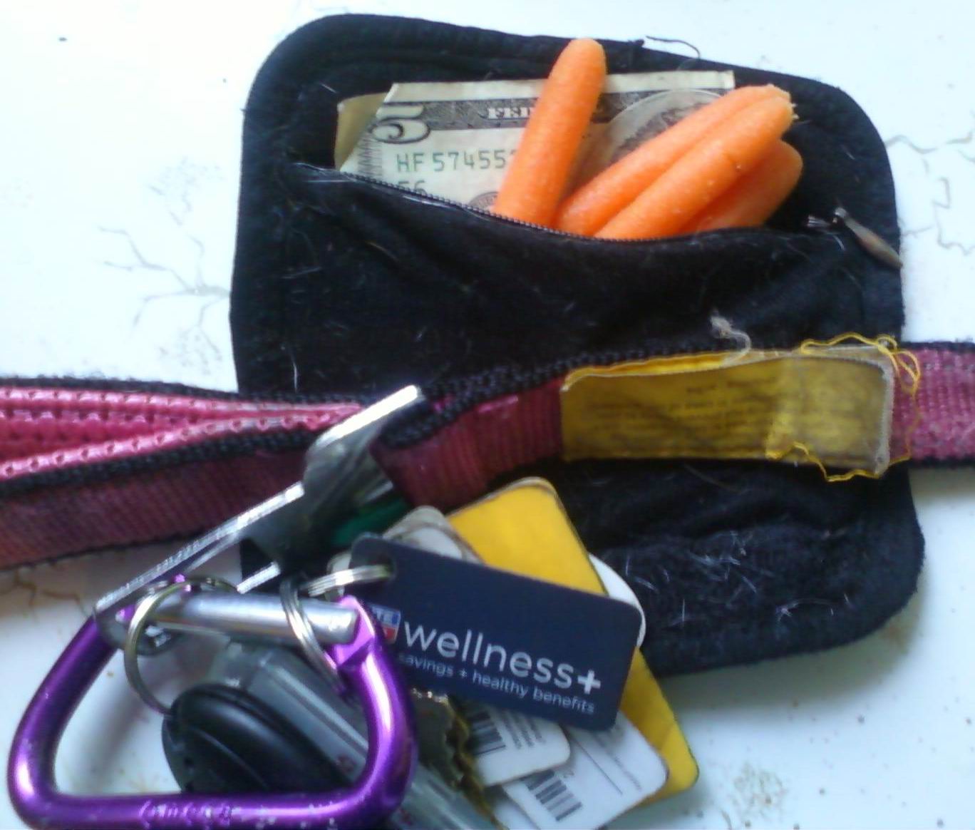 The Teacher's Pets 4 Reasons Why I Love My Bamboo Quick Control Dog