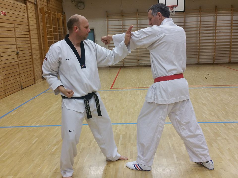 Traditional Taekwondo Ramblings Taekwondo "Blocks"