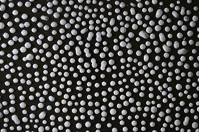 Edward Black Rose : Drops Art