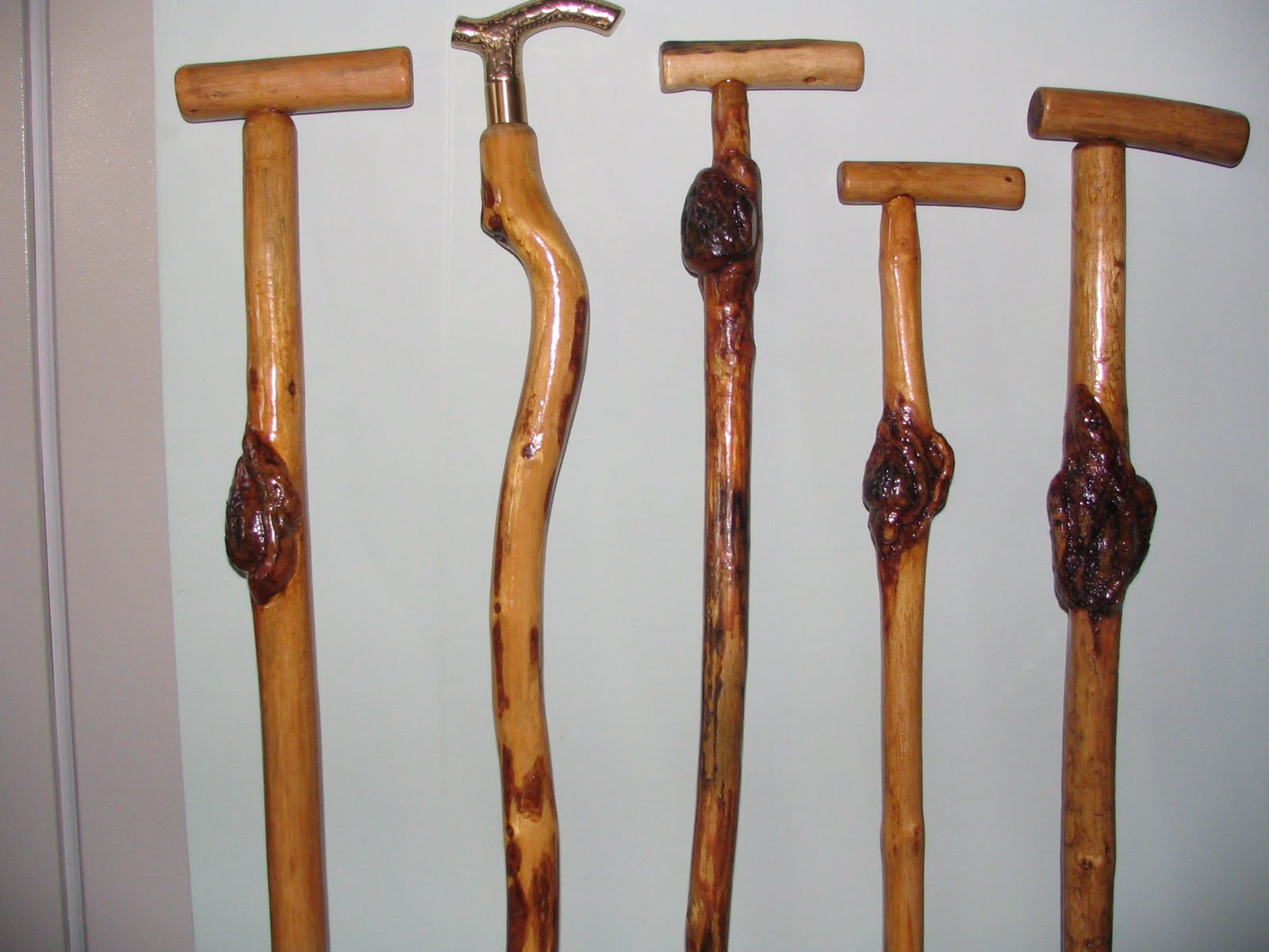 walking sticks and canes