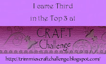 Top 3 C.r.a.f.t. Challenge # 113