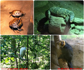 Animals in the Oregon Zoo