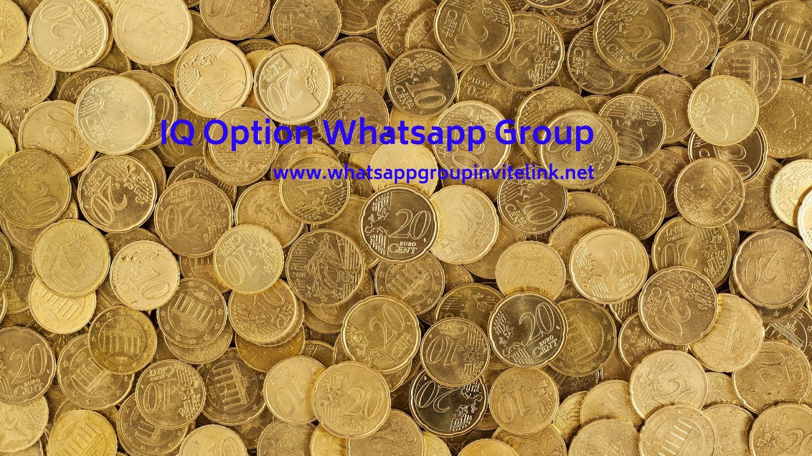 Iq option whatsapp group link