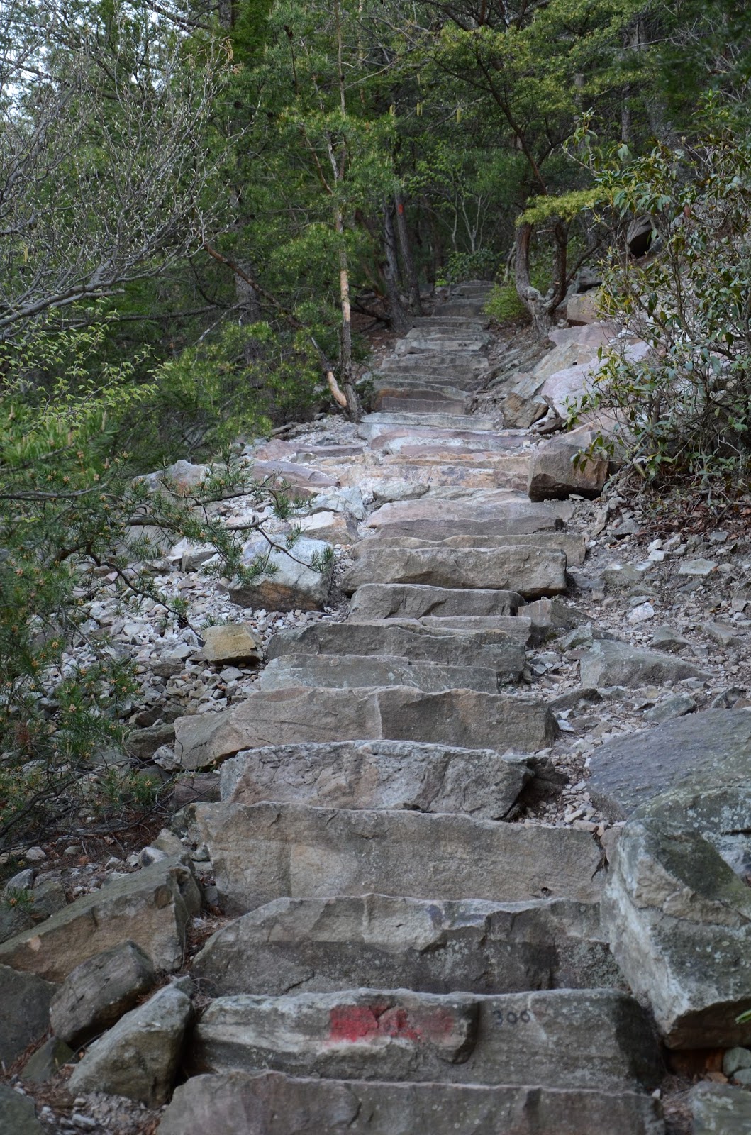 Manifest Destiny (PA) Standing Stone Trail named Pa.'s 'trail of the year'