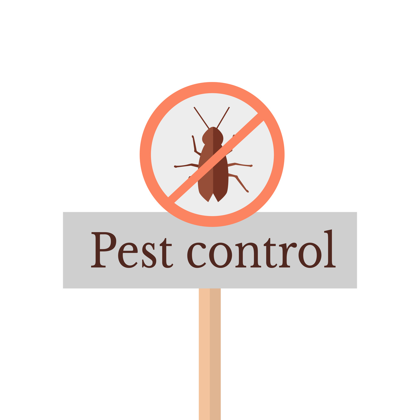 American Pest Management Why You Should Hire a Pest Control Service