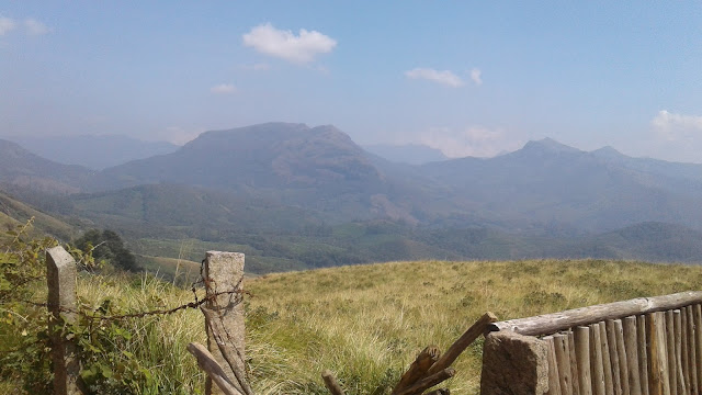 eravikulam national park, munnar, kerala, india