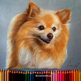 01-Liran-Vardiel-Animal-Drawings-using-Colored-Pencils-www-designstack-co