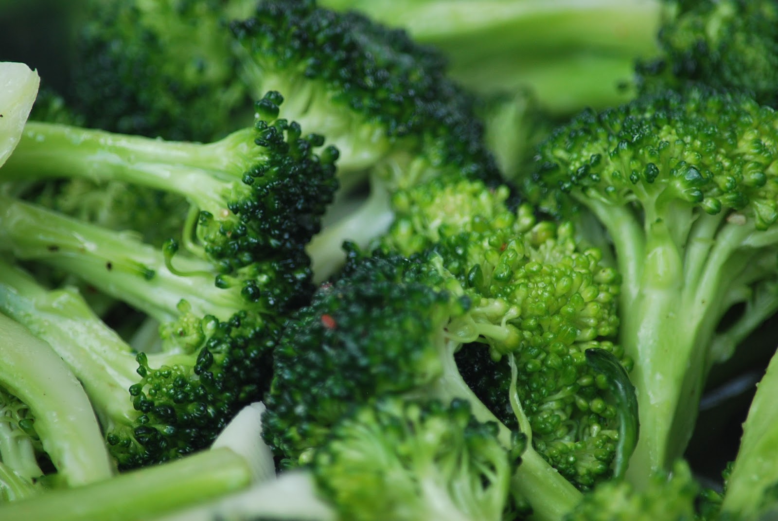 My story in recipes Grilled Broccoli