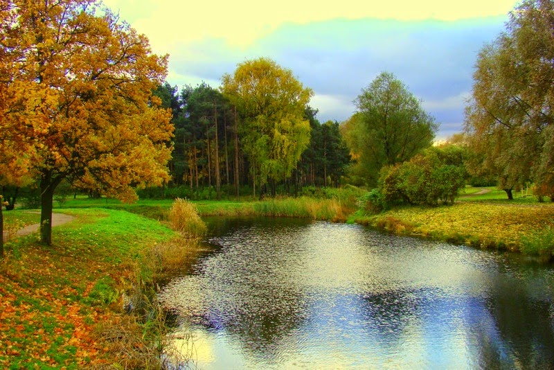 Парк Александрино: Карта