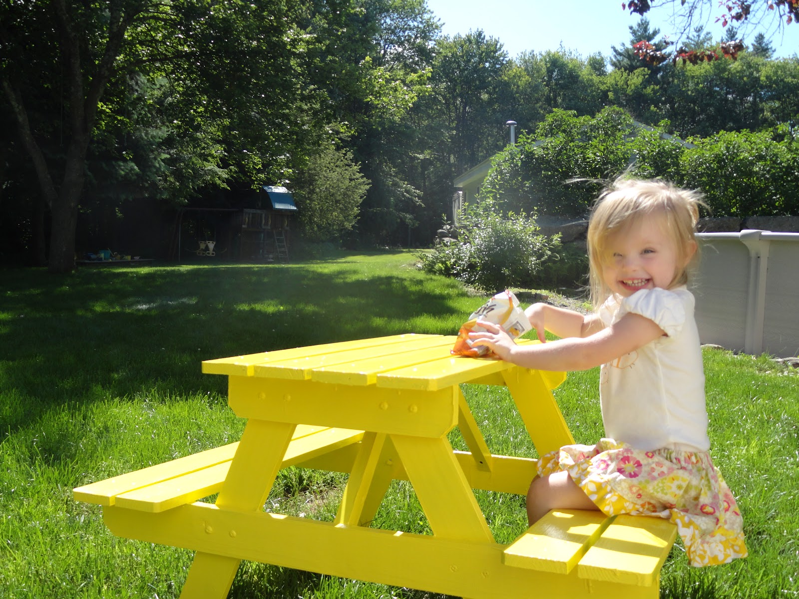 From My Life to yours... Picnic Table Painting