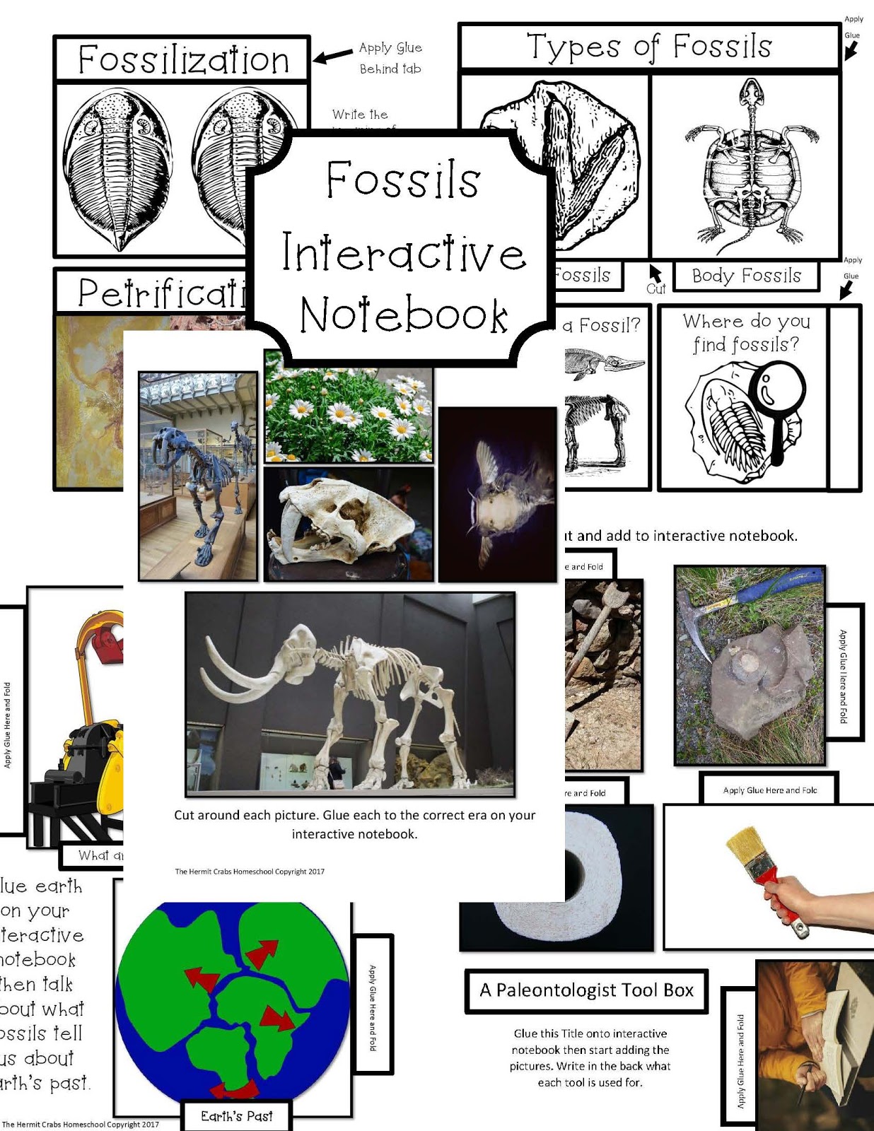 The Hermit Crabs Homeschool Fossils Unit Study/ Interactive Notebook