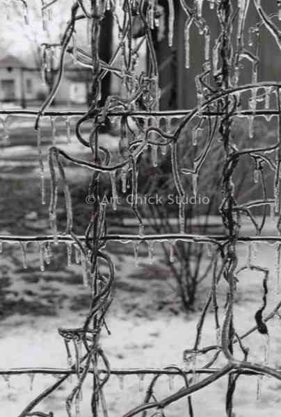 Icy Wire Photograph