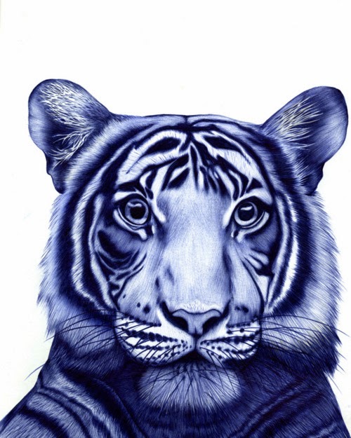 15-Tiger-Sarah-Esteje-ABADIDABOU-Hyper-realistic-Ballpoint-Pen-Animals-www-designstack-co