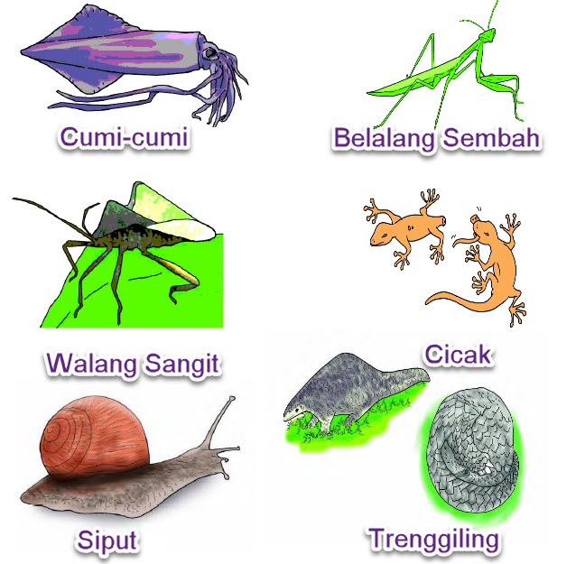 Pembelajaran 1 Tema 2 Subtema 3 Bersatu Kita Teguh